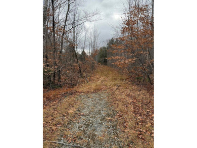 43 Acres of Pristine Maine Wilderness - Pond Road, Abbot, ME - photo 7