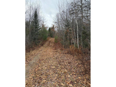 43 Acres of Pristine Maine Wilderness - Pond Road, Abbot, ME - photo 9