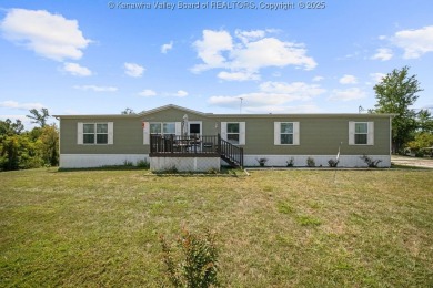 Lake Home For Sale in Glenwood, West Virginia