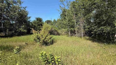Create your Up North home base with access to Torch Lake! Set in - photo 2