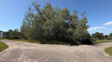 Create your Up North home base with access to Torch Lake! Set in - photo 8