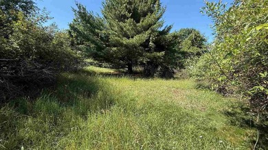 Create your Up North home base with access to Torch Lake! Set in - photo 9