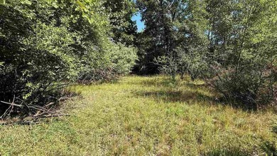 Create your Up North home base with access to Torch Lake! Set in - photo 10