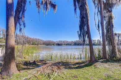 Wisteria Lake Home For Sale in Land O Lakes Florida