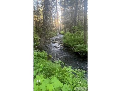 Lake Lot For Sale in Island Park, Idaho