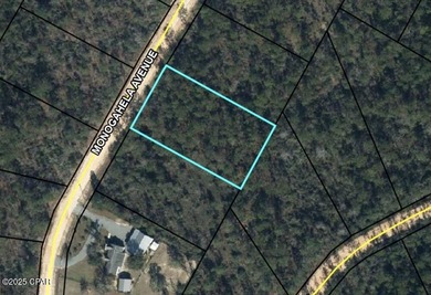 Compass Lake Lot For Sale in Alford Florida
