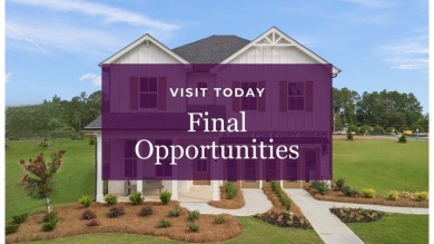 Lake Home For Sale in Grayson, Georgia