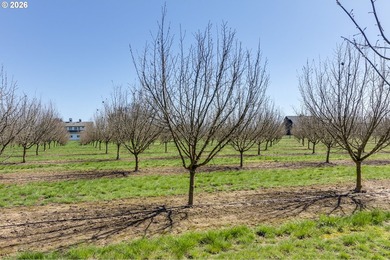 The Lofts at Chateau Camille is a 111+/- acre equestrian and - photo 38