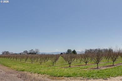 The Lofts at Chateau Camille is a 111+/- acre equestrian and - photo 39