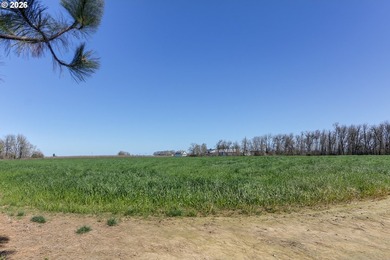 The Lofts at Chateau Camille is a 111+/- acre equestrian and - photo 41