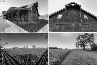 The Lofts at Chateau Camille is a 111+/- acre equestrian and - photo 45