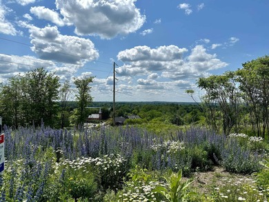 Lac Davignon Lot For Sale in Cowansville QC