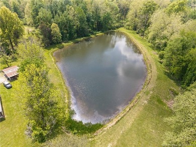 5.03 scenic acres with a pond in a tranquil setting near Madison - photo 21