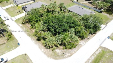 Discover a rare opportunity to own a 0.29 acre corner lot in - photo 3