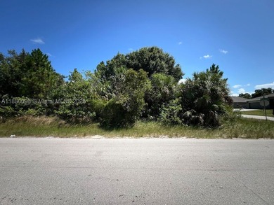 Discover a rare opportunity to own a 0.29 acre corner lot in - photo 4