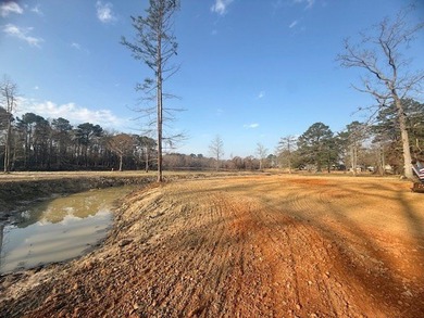 Waterfront Retreat on Toledo Bend Lake - Move-In Ready with - photo 11