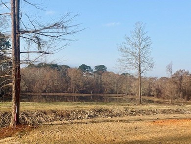 Waterfront Retreat on Toledo Bend Lake - Move-In Ready with - photo 12