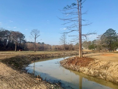 Waterfront Retreat on Toledo Bend Lake - Move-In Ready with - photo 13