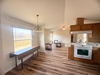 Waterfront Retreat on Toledo Bend Lake - Move-In Ready with - photo 17