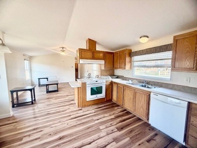 Waterfront Retreat on Toledo Bend Lake - Move-In Ready with - photo 18