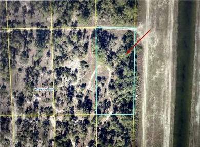 (private lake, pond, creek) Lot Sale Pending in Labelle Florida