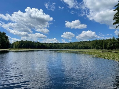 800+ ACRES | 60-ACRE PRIVATE LAKE | 90 MILES TO NYC Strategic - photo 1
