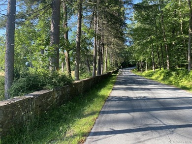 800+ ACRES | 60-ACRE PRIVATE LAKE | 90 MILES TO NYC Strategic - photo 2