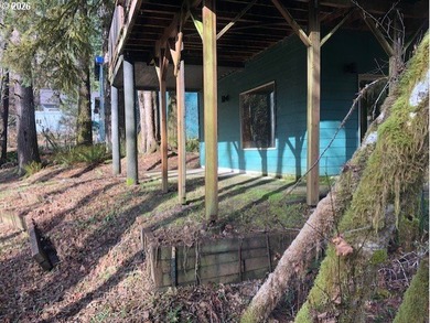 Discover your dream home nestled in a picturesque Fishhawk Lake - photo 2