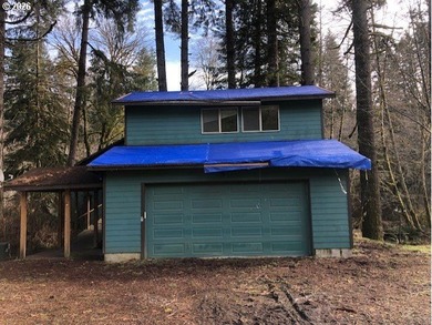 Discover your dream home nestled in a picturesque Fishhawk Lake - photo 3
