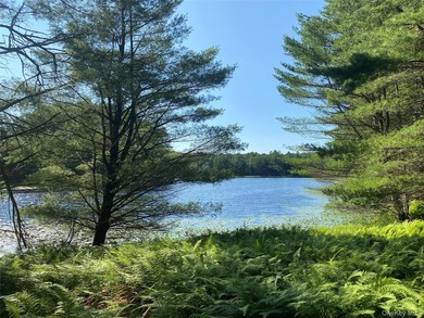 800+ ACRES | 60-ACRE PRIVATE LAKE | 90 MILES TO NYC Strategic - photo 4