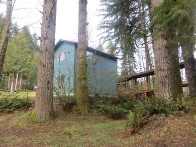 Discover your dream home nestled in a picturesque Fishhawk Lake - photo 4