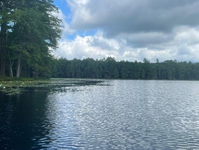 800+ ACRES | 60-ACRE PRIVATE LAKE | 90 MILES TO NYC Strategic - photo 5