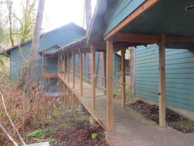 Discover your dream home nestled in a picturesque Fishhawk Lake - photo 5