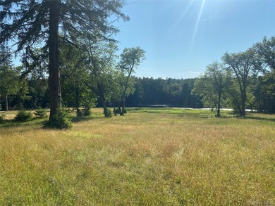 800+ ACRES | 60-ACRE PRIVATE LAKE | 90 MILES TO NYC Strategic - photo 6