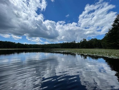 800+ ACRES | 60-ACRE PRIVATE LAKE | 90 MILES TO NYC Strategic - photo 7