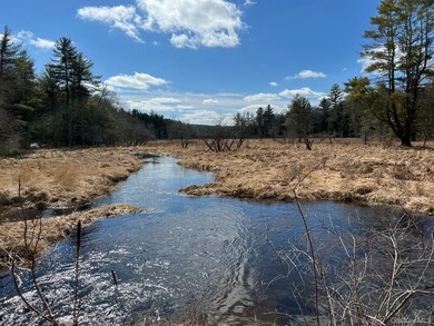 800+ ACRES | 60-ACRE PRIVATE LAKE | 90 MILES TO NYC Strategic - photo 9