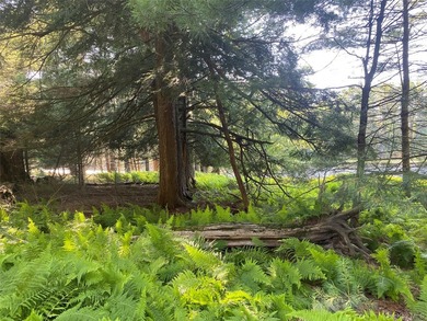 800+ ACRES | 60-ACRE PRIVATE LAKE | 90 MILES TO NYC Strategic - photo 10