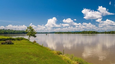Rare Riverfront Opportunity! Experience timeless elegance in - photo 40