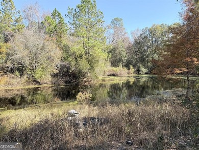 (private lake, pond, coastal) Acreage For Sale in Waycross Georgia