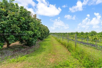 15-Acre Mature Longan Grove In The Heart of Homestead's - photo 11