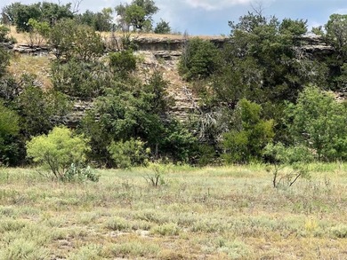 Possum Kingdom Lake Lot For Sale in Graford Texas