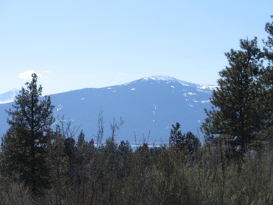 Agency Lake Lot For Sale in Chiloquin Oregon
