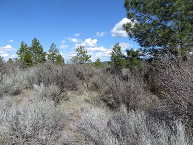 Great price for one acre lot in really nice subdivision of Bella - photo 3