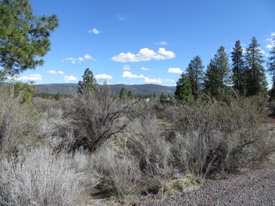 Great price for one acre lot in really nice subdivision of Bella - photo 4