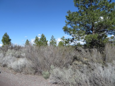 Great price for one acre lot in really nice subdivision of Bella - photo 6