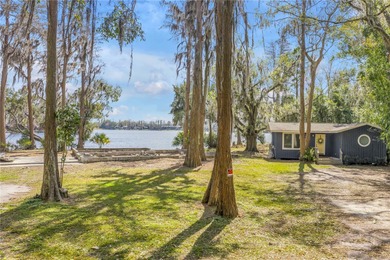 Lake Ellen - Hillsborough County Lot Sale Pending in Tampa Florida