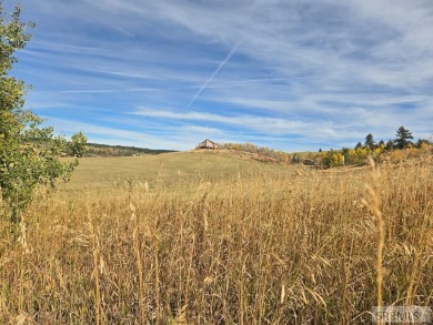 Lake Acreage For Sale in Ashton, Idaho