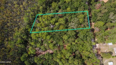 THIS CAN BE PURCHASED AS A 2 LOT NON CONTIGUOUS LOT PACKAGE! - photo 2