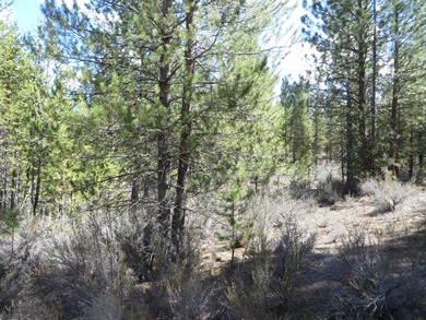 Sprague River Lot For Sale in Chiloquin Oregon