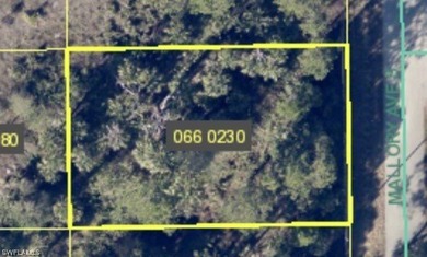 Lehigh Acres Area Lot For Sale in Lehigh Acres Florida